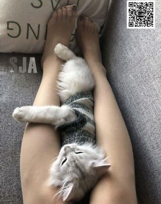 催眠指导在线观看