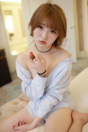 忠诚电视剧20全集完整版免费观看