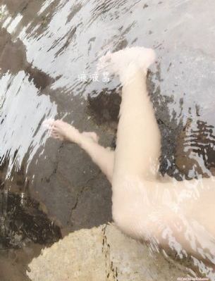 《完美的妻子》电视剧