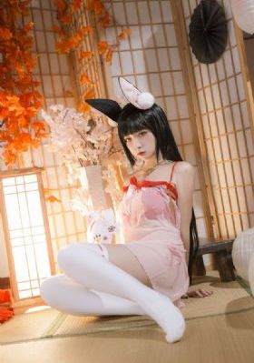 高级技女