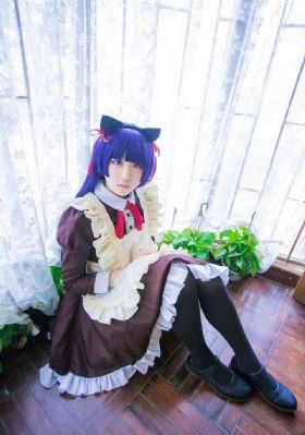 苍狼演员表